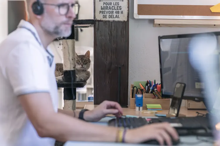 Comment reconnaître un expert du référencement de sites internet à Roanne ?