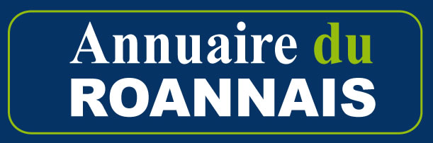 Annuaire des sites web de Roanne et du roannais